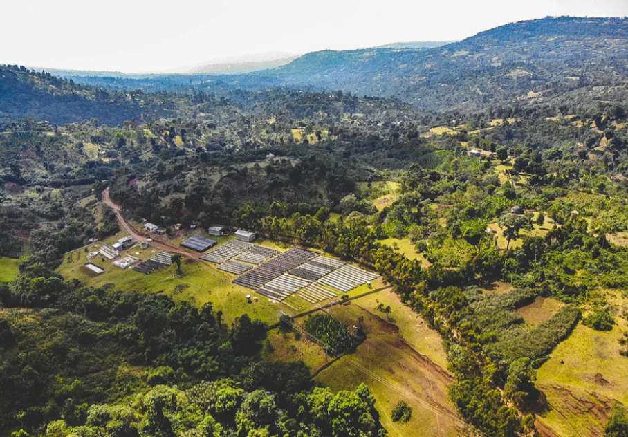 Ethiopia - Sidama Bensa - Gatta - Natural - JARC 74158 (200G)